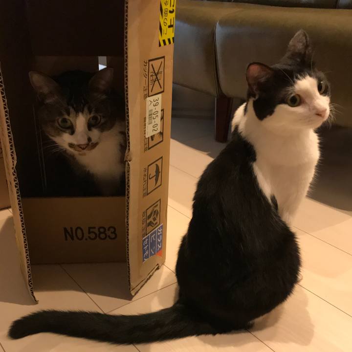 0bf4fa5f 2530 4b3d a149 fb407df1b57c 1533885150184