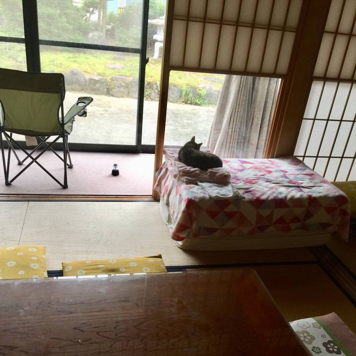 0bf4fd32 1408 4a33 b261 ded9a2275598 1623127229148