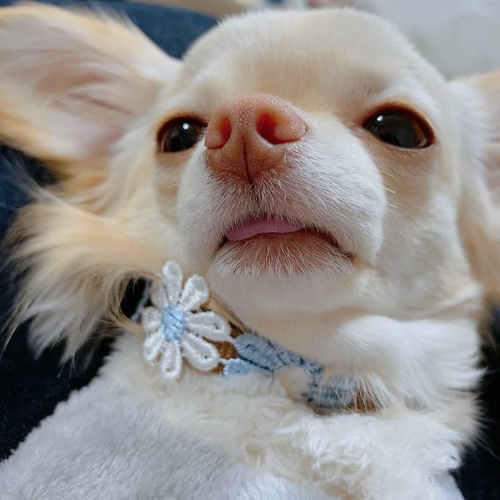 0bf57e1e fd45 4be9 846a 1eb6f56a4ce4 1613724750102