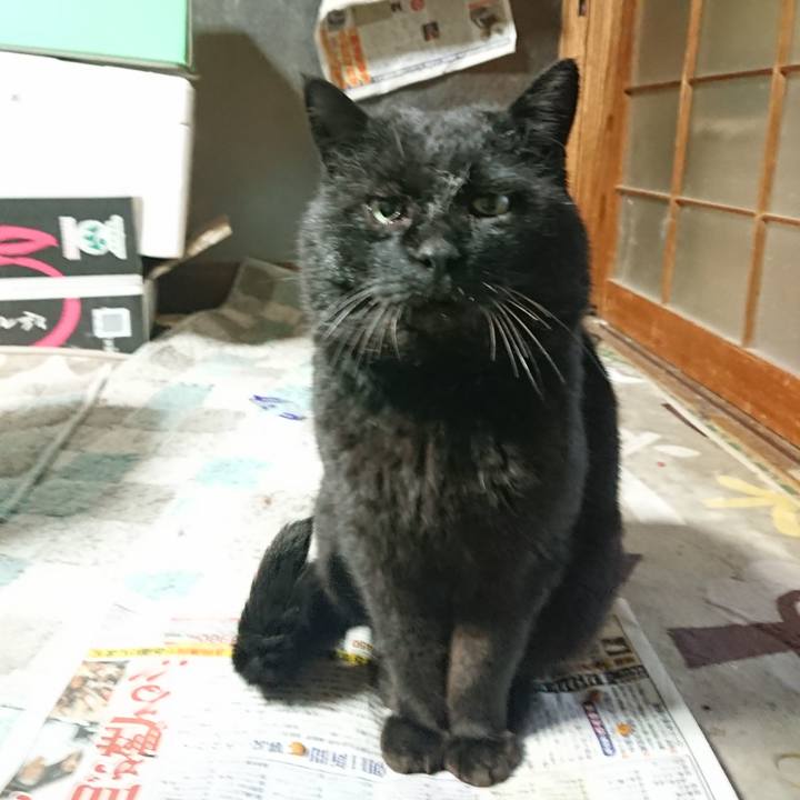 0bf5b14e d5c9 435a bcfa b7fa1ec70b10 1650014695343