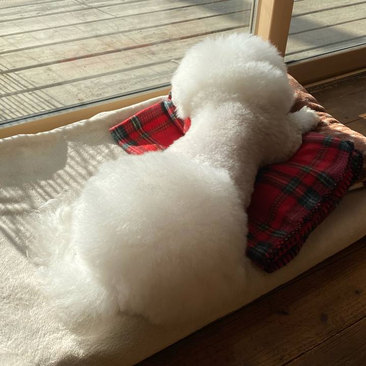 0bf5d814 6f62 45cd 8d8a f2edbdfe945e 1610929656426