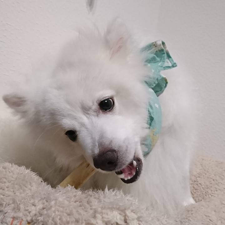 0bf5d98c c11f 4dd2 8359 a3160ec2e60a 1566572460759