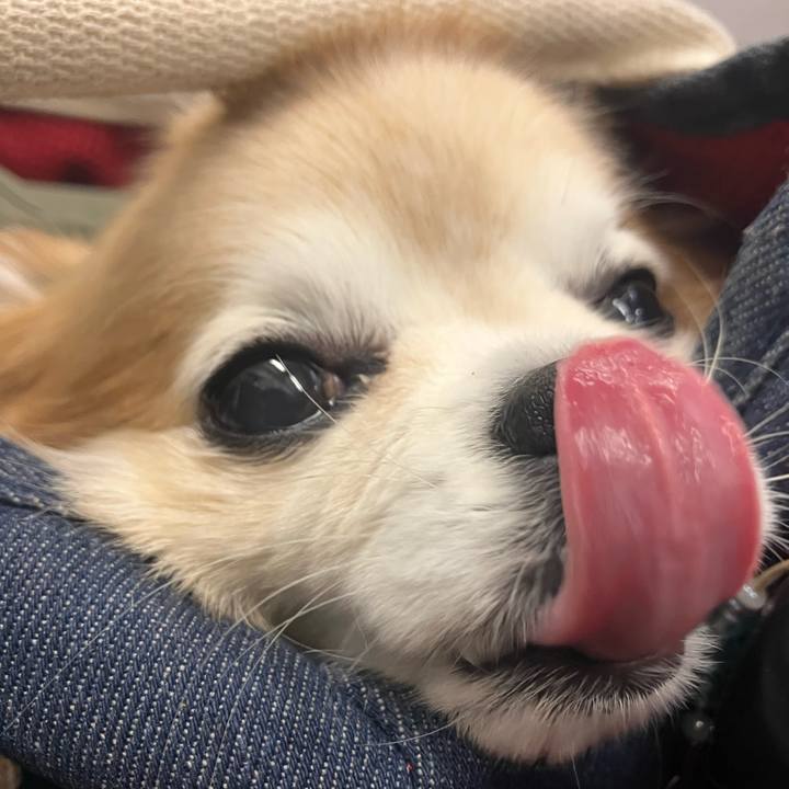 0bf6220a f7ba 471d 8276 eb8960128135 1773704998427