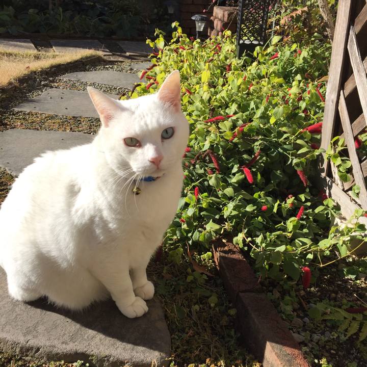 0bf623d2 88fd 46e4 91f8 88023f4ad9d9 1577553233762