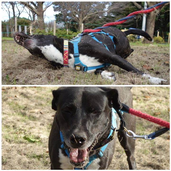 0bf66fc2 7caf 4ba3 88ff 6e4bc8c661ee 1634778419382