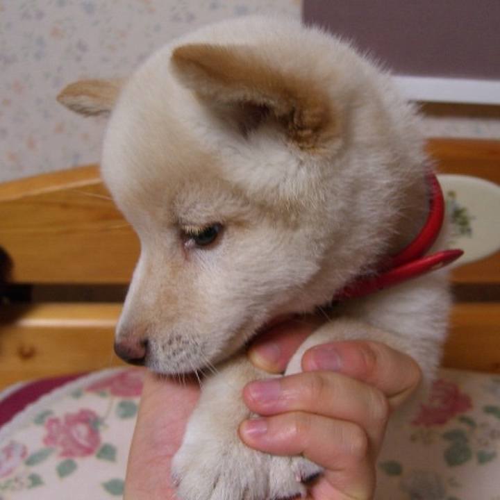 0bf6a276 e651 468b b3b4 134837ba11e4 1663293421750