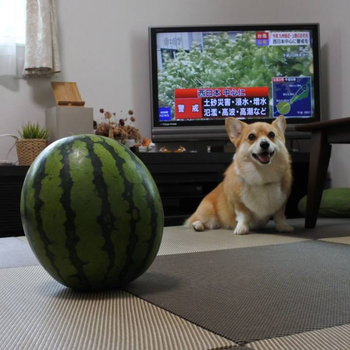 0bf6b35a 3522 4782 a648 4a60e70019dc 1628430713270