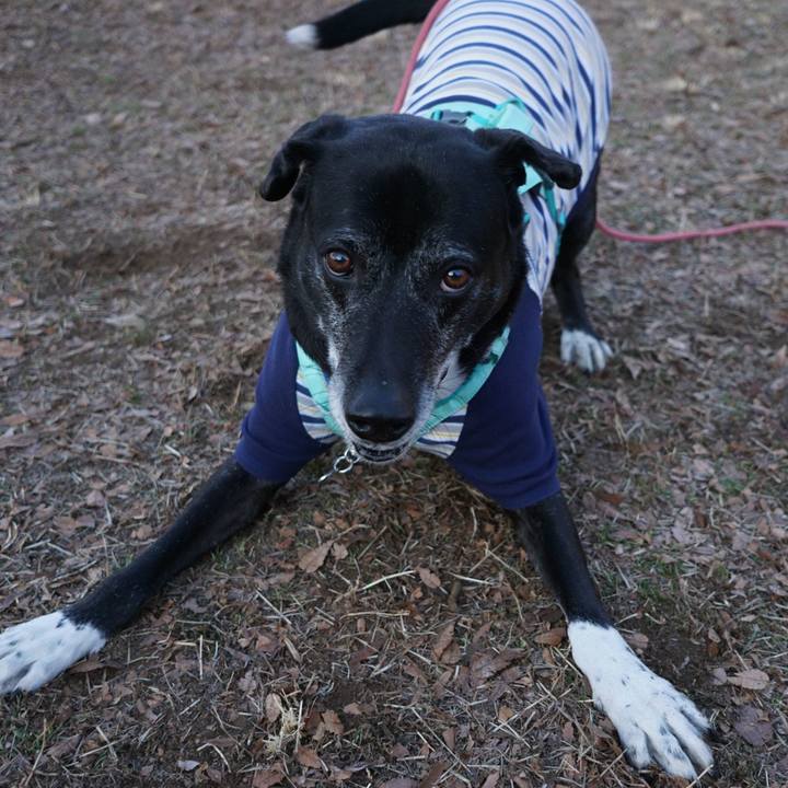 0bf6bac5 c20b 4521 a0e5 aa712babc9ad 1769561521643