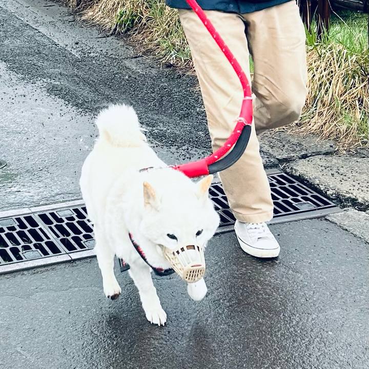 0bf6d547 c367 4422 a9bd 0a09292132bc 1713656643330