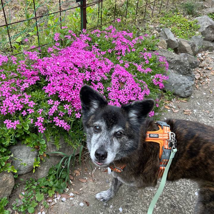 0bf73596 1e49 4306 9f60 64ea8c3bd3ea 1744182544291