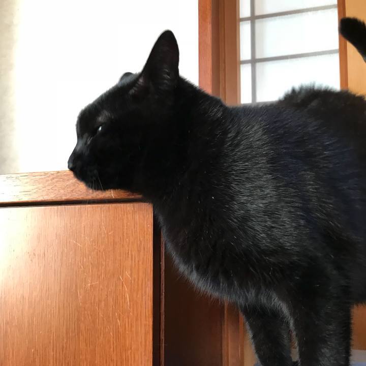 0bf73f71 bd6a 4bf0 8567 82f73f8010ea 1511313532923