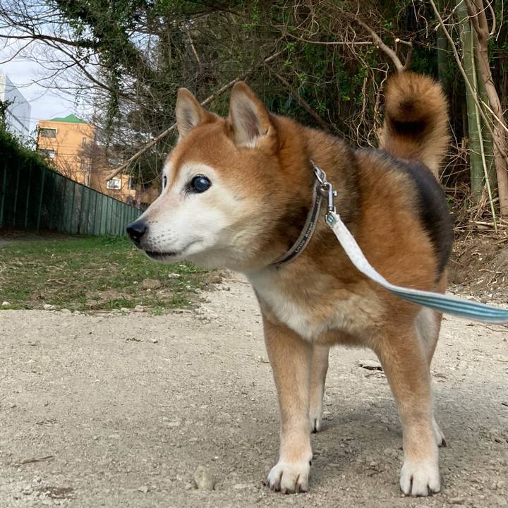 0bf770a5 0d05 4f2f a09a e8c43ac4742f 1742713379290