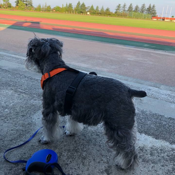 0bf77d18 7f53 4da3 aacb e77f80d95b66 1694900635681