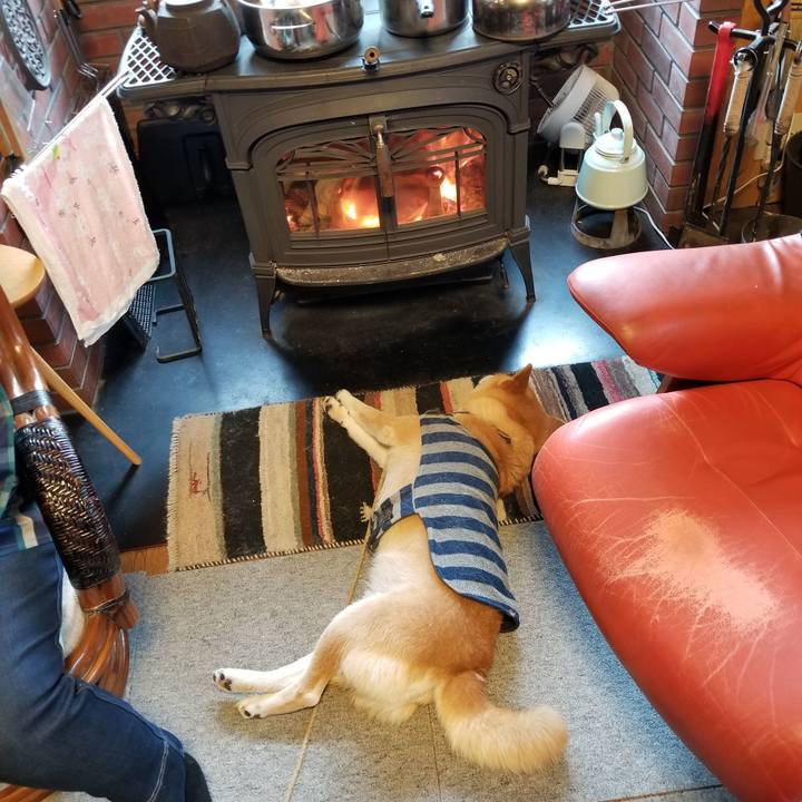 0bf77ecb 6d78 48c4 8ac6 7fcba2b416b9 1580860075001