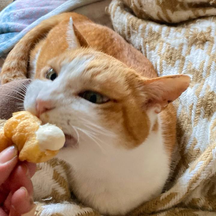 0bf7ae13 0349 4437 babc 1b557965cca4 1649486466608