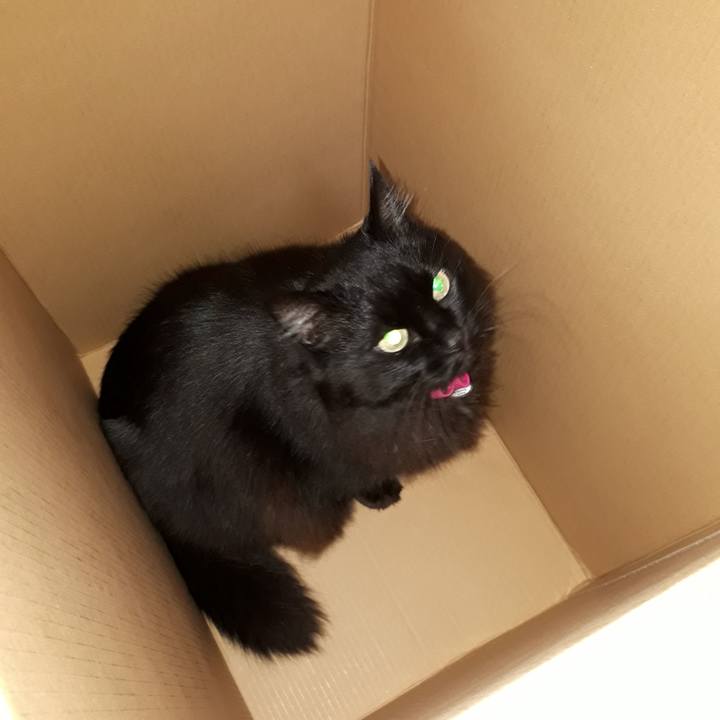 0bf7dd7e b189 4ea1 8d32 a5816b2f54cf 1517951913424