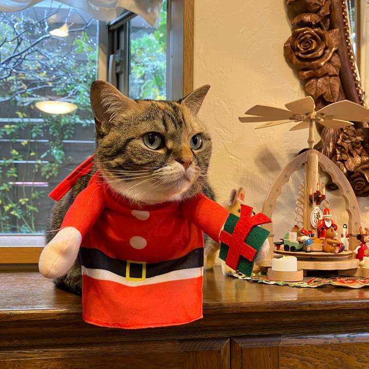 0bf7e07c fde4 48c5 b019 93aa6f39e017 1766543743347