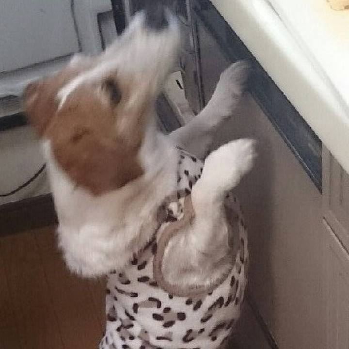 0bf80df2 e342 4843 a943 ce050cc509fa 1648739172365