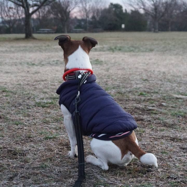 0bf81422 e8ab 4bcb 9622 b8119e06e6b9 1579647985707