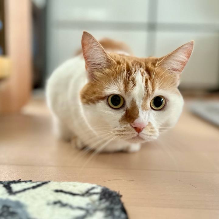 0bf816ae a913 491f a556 83158420cdf4 1756093400296