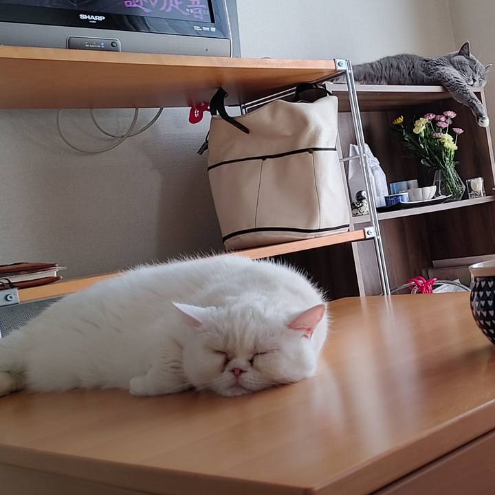 0bf8307d 8aed 4938 b961 6d5c78917206 1658617416680