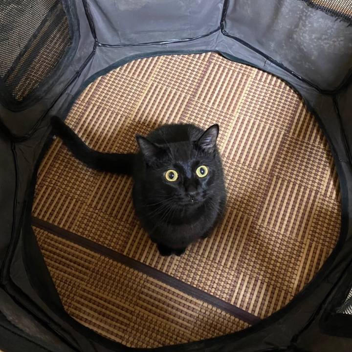 0bf85ed6 e7e3 4d89 bdbe 1fe552365a14 1613121434597