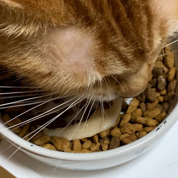 0bf86943 b556 4c34 84ec 0f41201648d3 1599050060759