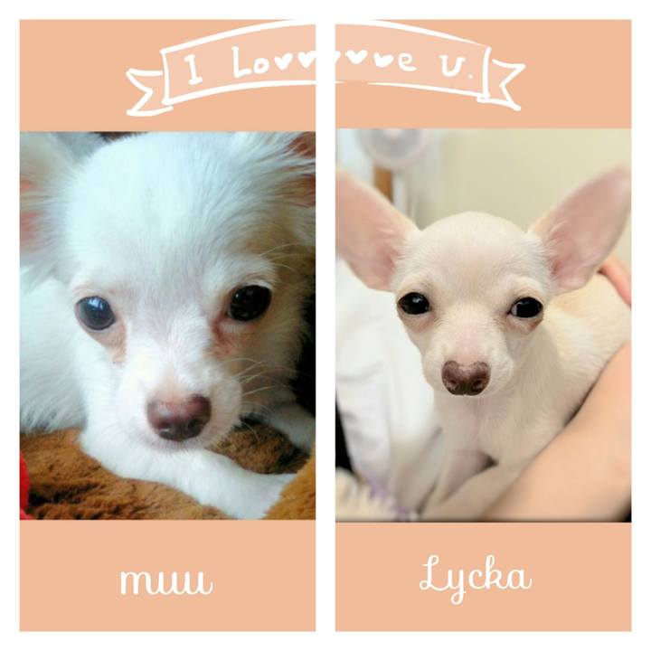 0bf88f54 a192 4925 a85c 5f72a33b890c 1703972841128