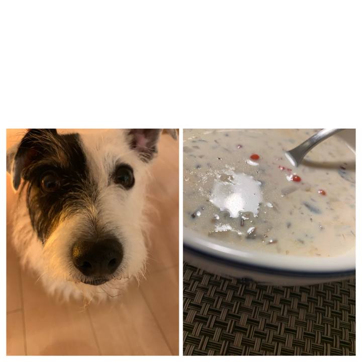 0bf89546 e9e7 4696 8987 d84806dccea7 1630666300032