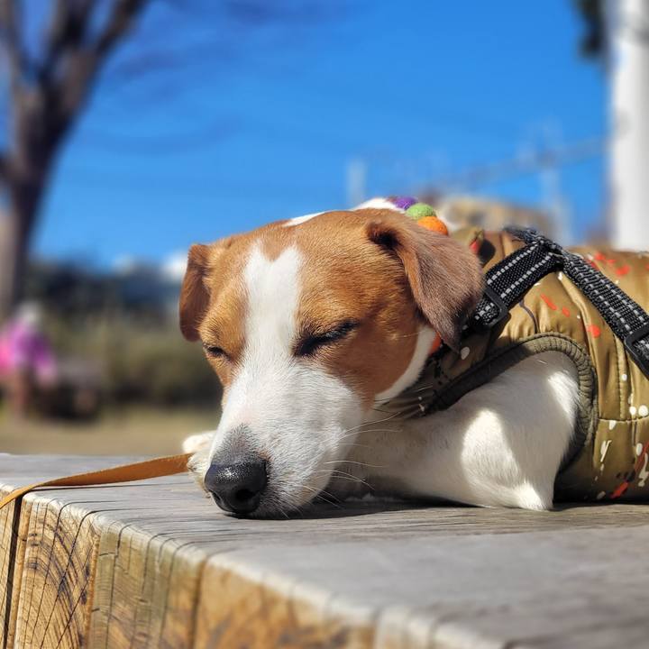 0bf8bdf1 e1b0 40c9 8aed 08572689d4be 1645604562933