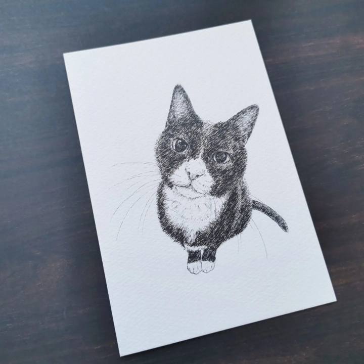 0bf8e147 b4c1 4ede 86a1 96944d9f4b49 1656688018044