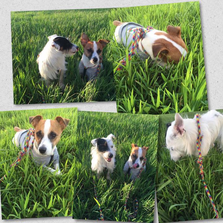 0bf903ee a847 484a 9aea 9bd6f80ddfcd 1693483040560