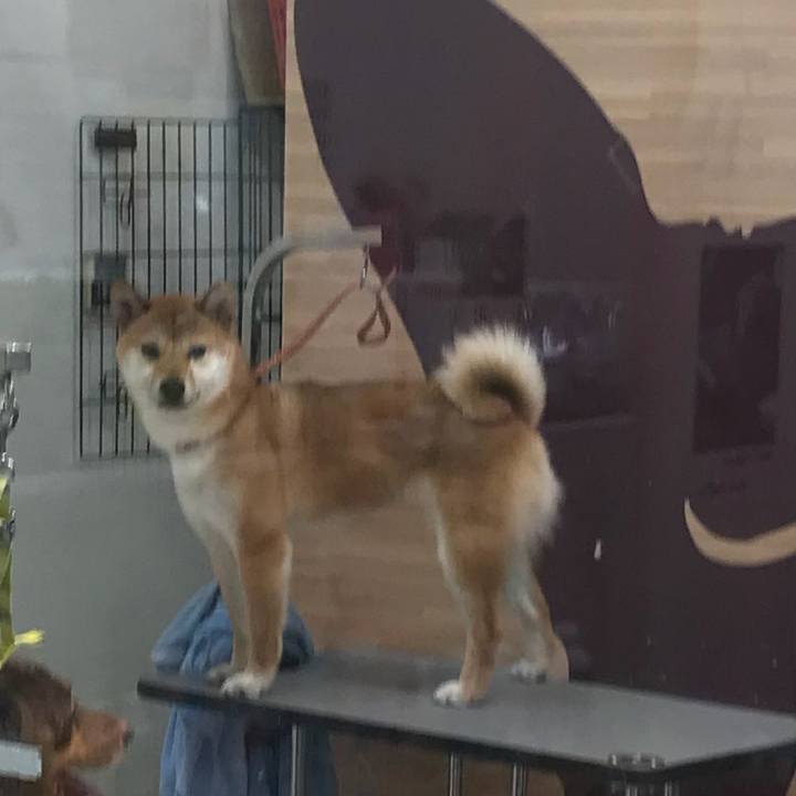 0bf91ce9 3953 47df a9c7 a7a256a8d441 1521635542491