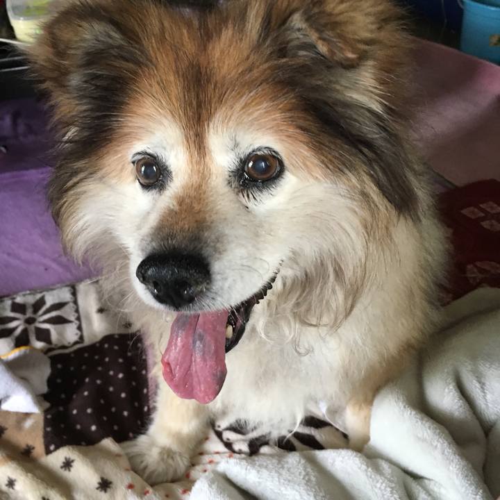 0bf96ad4 a085 47e2 825b 99f94f55f5e4 1559689705820