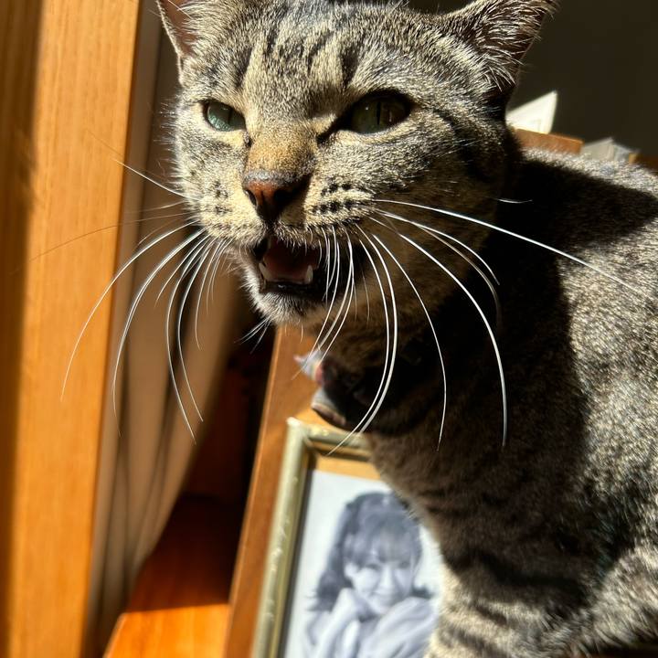 0bf96c47 3861 4a12 bc26 f5d5486c79a0 1728990179856