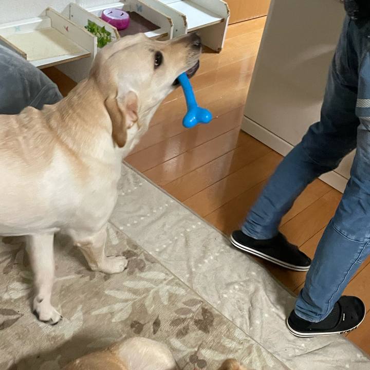 0bf98b47 1f57 4200 a1f7 487a98a111c7 1642111537298