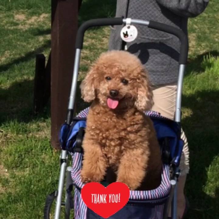 0bf99ba5 5a42 4c31 aec5 4404c7679147 1546262878050