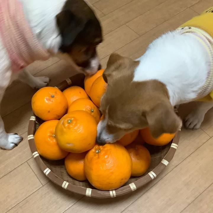 0bf9a552 4247 4213 8511 e8edea913db2 1580886313664