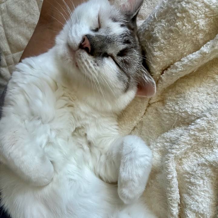 0bf9a574 c5eb 40c6 80a3 a45b0970a2d2 1695337098076