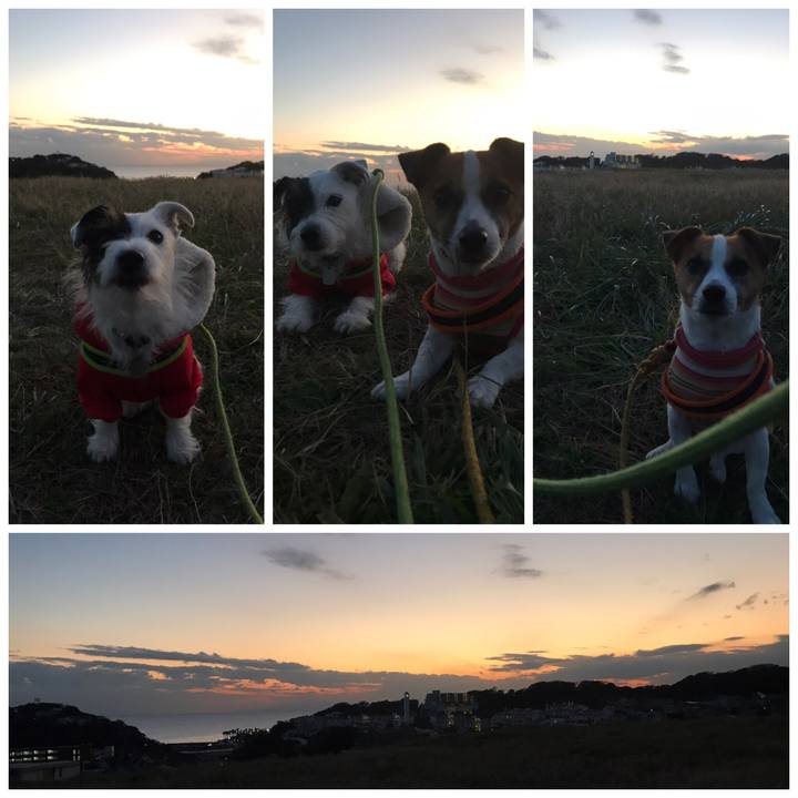 0bf9adcd 0420 44c7 acbc 42502668d8db 1542703430900