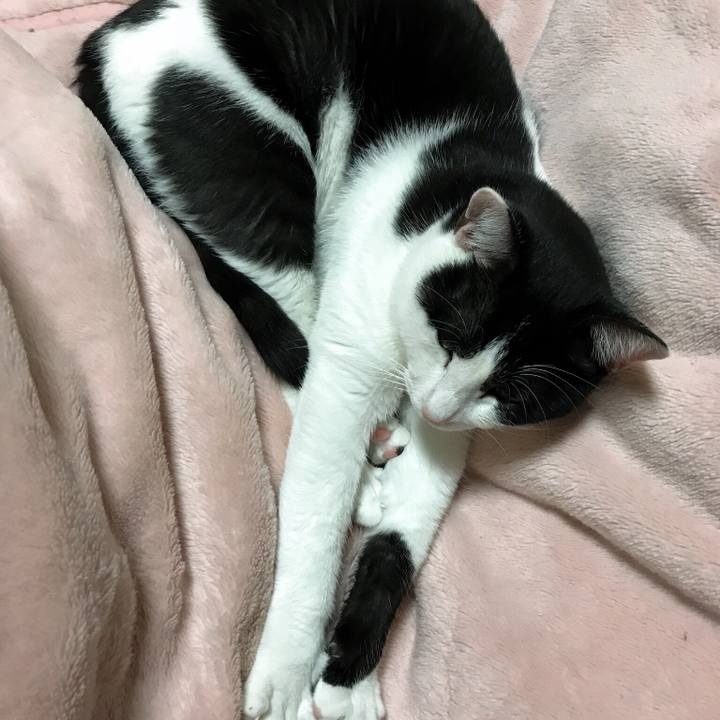 0bf9b2b4 ea03 4c9b 8fba 0dda0bbe25db 1510709942703