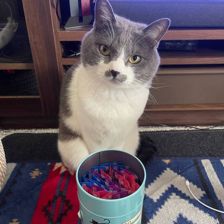 0bf9b94e 7db5 4ca6 9b1f 58d43532dc93 1679898137909