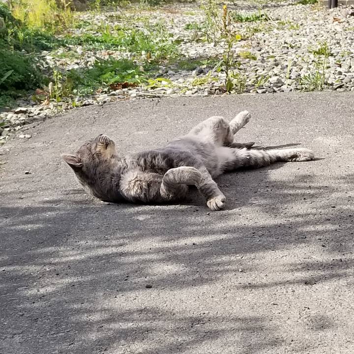 0bf9bba9 9075 450d 8154 f9ef4a1af736 1539653360709