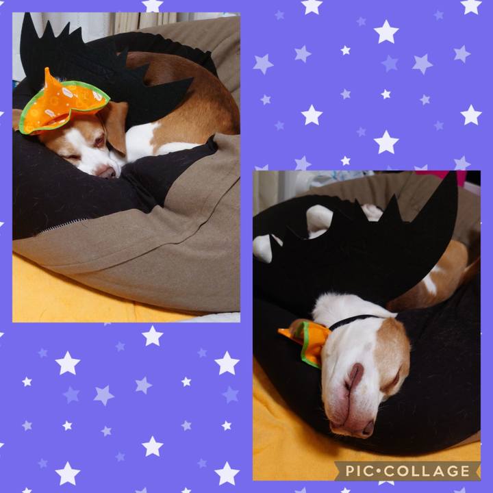 0bf9bf80 68fb 4c84 b1d4 b2f4e5b957a4 1667213345659