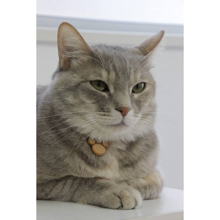 0bf9c007 399a 43ee ada4 05cf1c23ed02 1586440594497