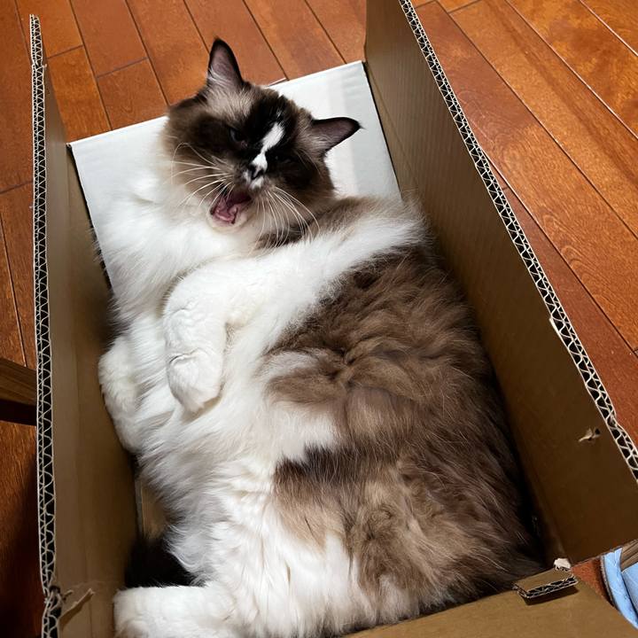 0bfa34f6 3ed9 44c0 818d ea40432a8a58 1696334624735