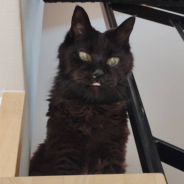 0bfa73a3 6d8a 441e 9dad 4a4d8af7281f 1774883236527