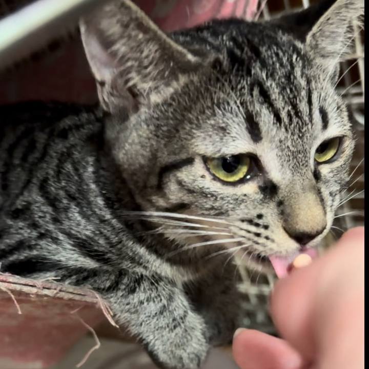 0bfac5b7 5041 4f05 ade2 7276bb1b3eeb 1730156079914