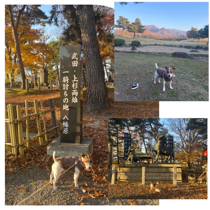 0bfac7fe 0118 4fe8 a182 4185fb3a5132 1763537714393