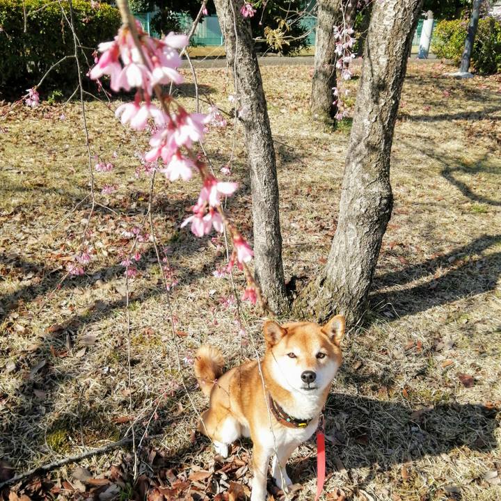 0bfb0ff1 00f3 4e96 af97 c8b0fe671301 1616458920894